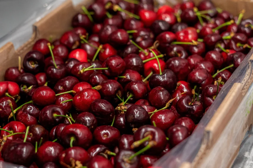 Cerejas